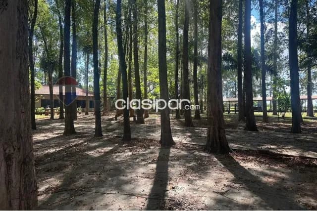 Granja formada con animales en alto parana — foto 3