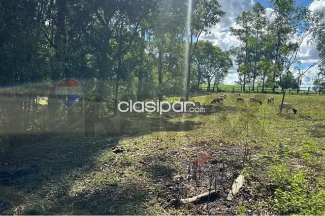 Granja formada con animales en alto parana — foto 4