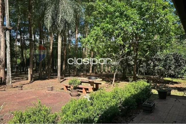 Granja formada con animales en alto parana — foto 5