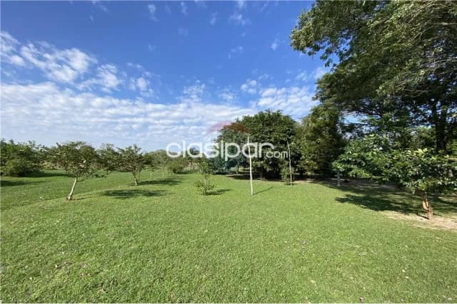 Campo en pilar sobre rio paraguay, foto 5