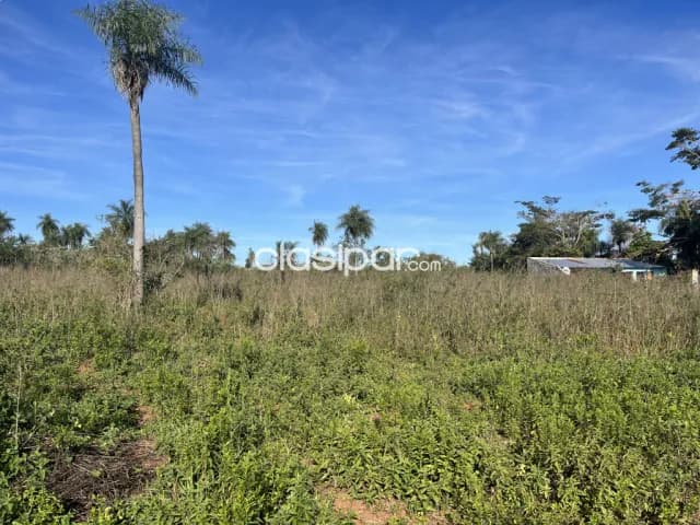 IMPERDIBLE! 2 Terrenos en Guarambaré - Zona Alta a 300m de Ruta (Juntos o Separados), foto 2