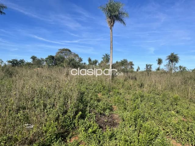 IMPERDIBLE! 2 Terrenos en Guarambaré - Zona Alta a 300m de Ruta (Juntos o Separados), foto 3