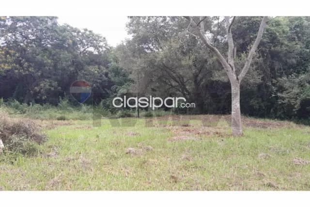 Terreno Zarate Isla Luque, foto 2