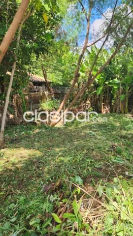terreno a 300 mts Materno de Lomapyta — foto 3
