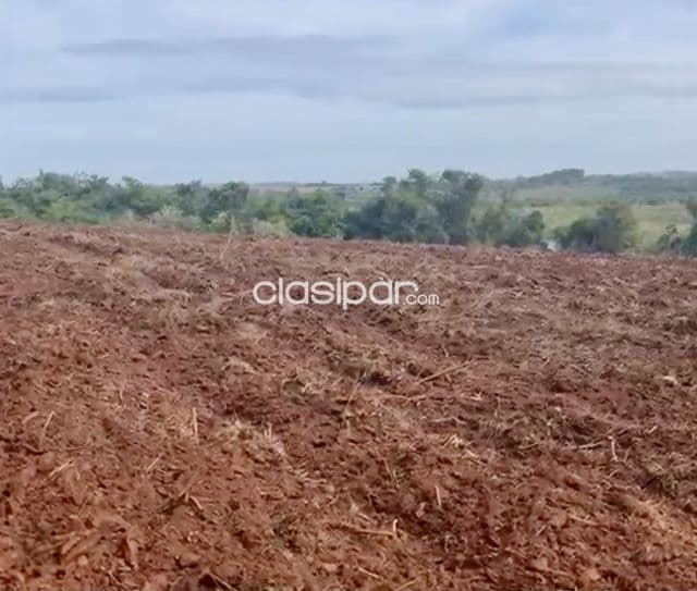 Campo Agrícola en Fram sobre Ruta Graneros del Sur - 107 Ha