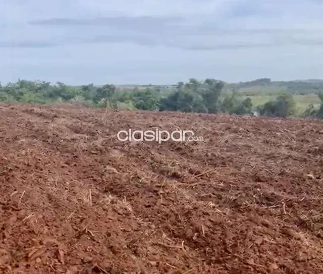 Campo Agrícola en Fram sobre Ruta Graneros del Sur - 107 Ha, foto 2