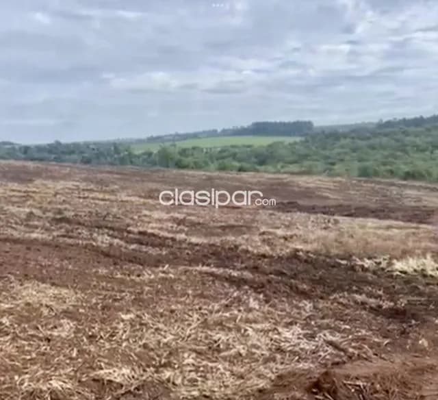 Campo Agrícola en Fram sobre Ruta Graneros del Sur - 107 Ha, foto 3