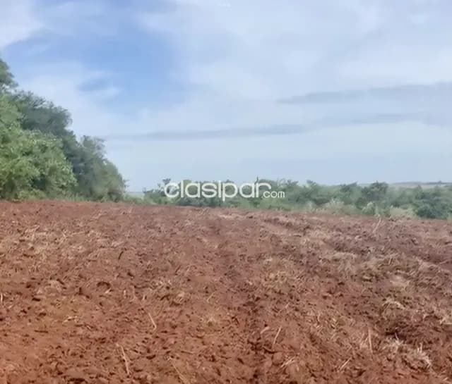 Campo Agrícola en Fram sobre Ruta Graneros del Sur - 107 Ha, foto 4