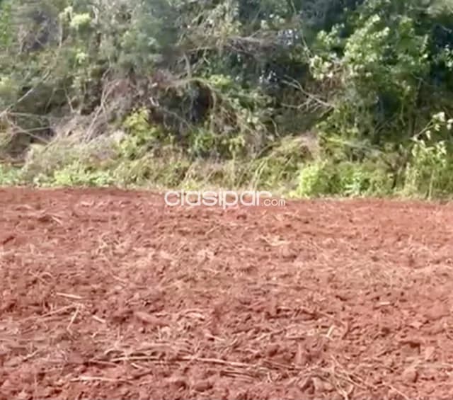 Campo Agrícola en Fram sobre Ruta Graneros del Sur - 107 Ha, foto 5