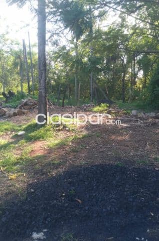 5 Lotes juntos zona Metalurgica Vera Sanbernardino