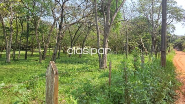 En venta 4 hectáreas próximo al centro de Piribebuy