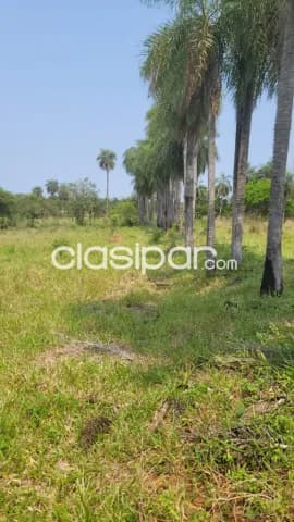En venta 4 hectáreas próximo al centro de Piribebuy, foto 3