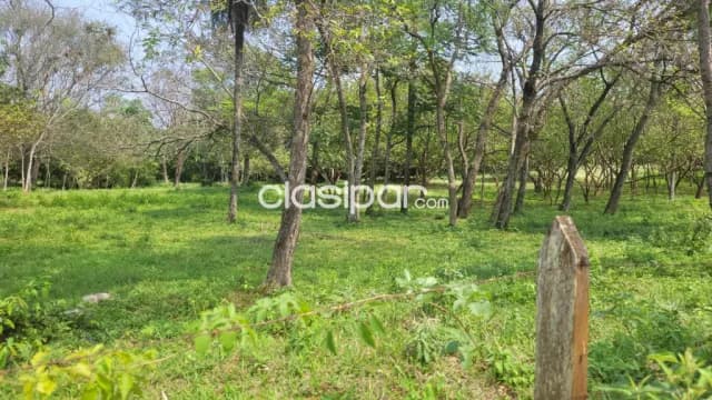 En venta 4 hectáreas próximo al centro de Piribebuy, foto 4