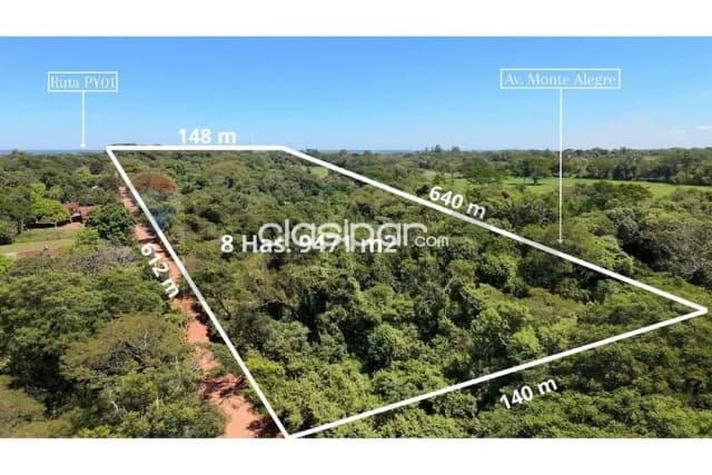 terreno de 8 has. 9.471 m² en Coronel Bogado, foto 5