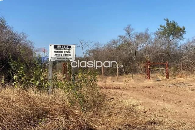 Campo en venta – 2.017 ha. en Bahía Negra, foto 3