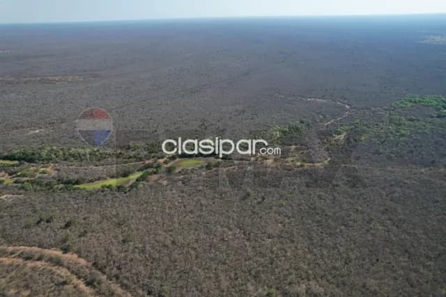 Campo en venta – 2.017 ha. en Bahía Negra, foto 5