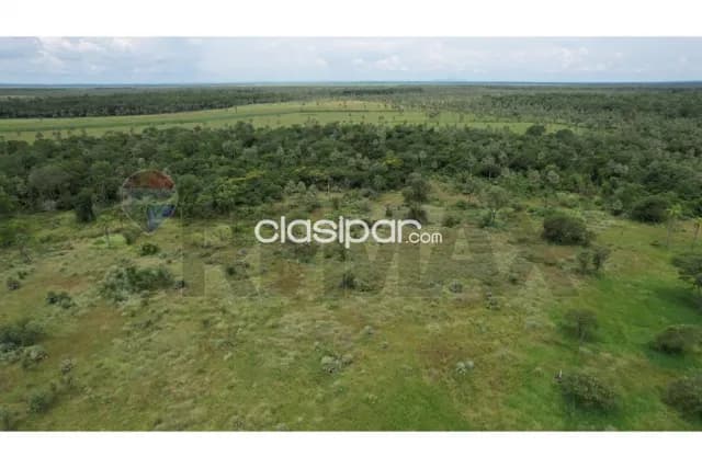 Inversión única sobre ruta – 181 has en villeta, foto 2