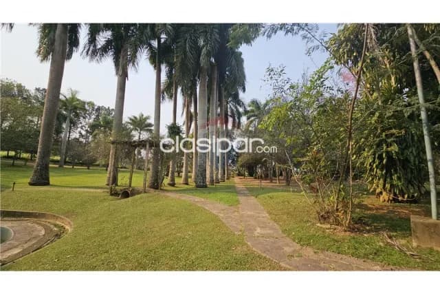 Propiedad con arroyo y plantación de eucaliptos en Itacurubi — foto 3