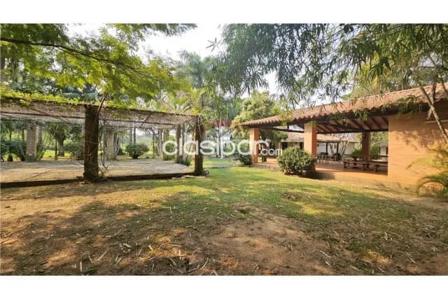 Propiedad con arroyo y plantación de eucaliptos en Itacurubi — foto 4