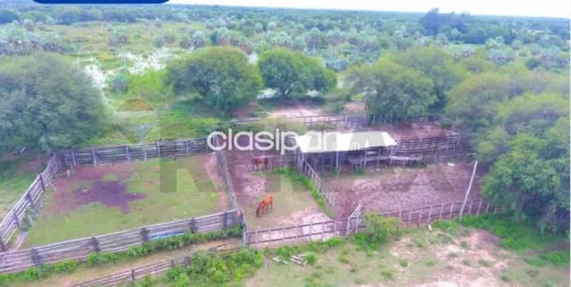 Estancia c/ 669 hectareas s/ruta transchaco km 130 dpto.pdte hayes-benjamin aceval, foto 5