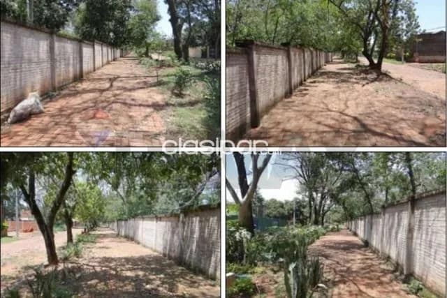 En venta 3 HAS Lote Guazú, San Lorenzo, foto 3