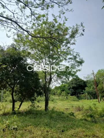 En venta 3 Lotes juntos o separados en Altos - cordillera, foto 3