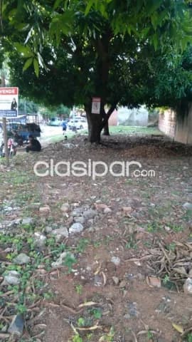 Terreno en esquina barrio Jara asuncion — foto 4