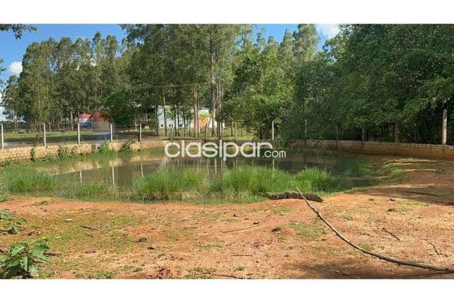 En venta estancia con 20has. y a tranquera cerrada Tavapy, Alto Paraná
