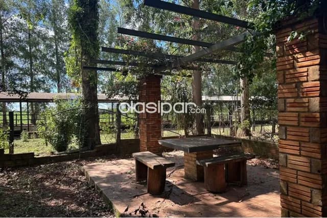 En venta estancia con 20has. y a tranquera cerrada Tavapy, Alto Paraná, foto 4