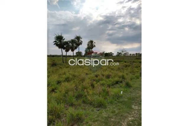 353 hectareas en villa oliva — foto 3
