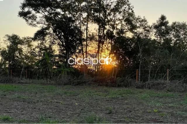 Campo con Rentabilidad en Trinidad 6,1 Ha en venta, foto 5