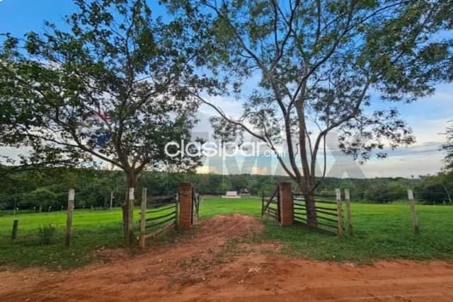 Oportunidad 2 Ha Isla Pucú EN VENTA — foto 3