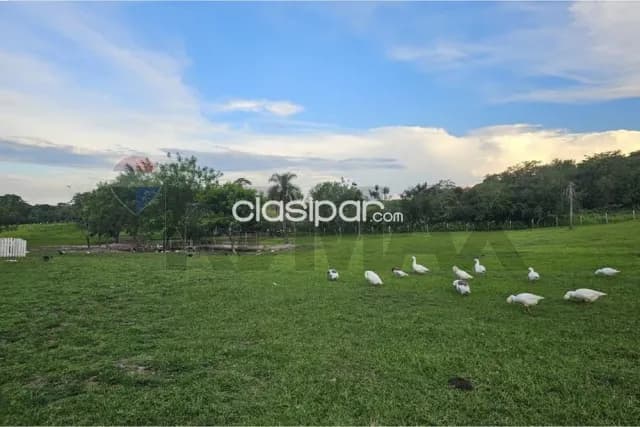 Oportunidad 2 Ha Isla Pucú EN VENTA — foto 4
