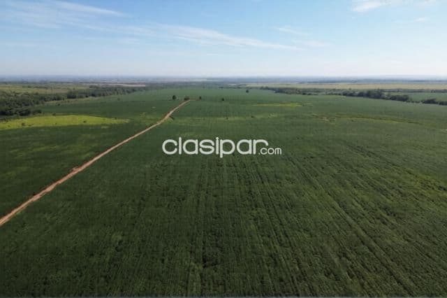 Estancia agropecuaria de 10.019 hectáreas en caaguazú