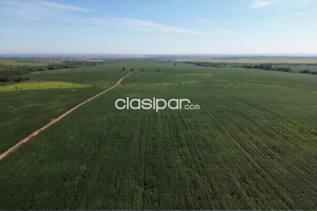 Estancia agropecuaria de 10.019 hectáreas en caaguazú — foto 2