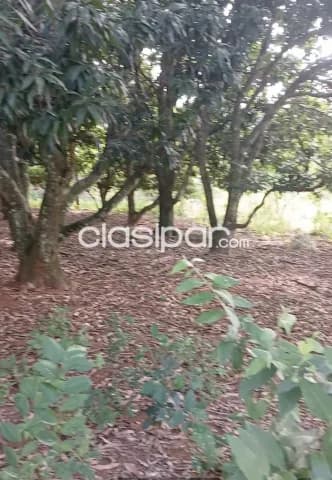 Terreno con Arroyo en Caacupé, foto 4