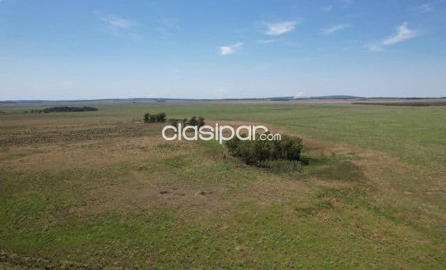 600 hectáreas en Paraguari — foto 1
