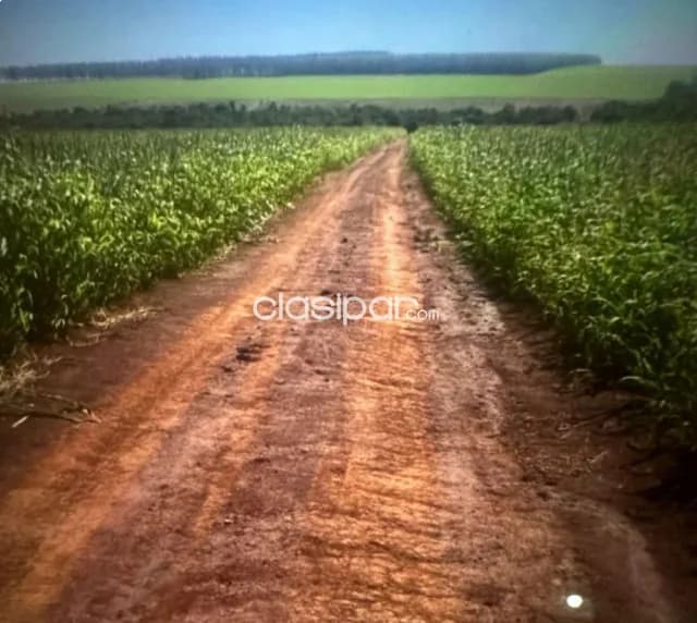 600 hectáreas en Paraguari — foto 3