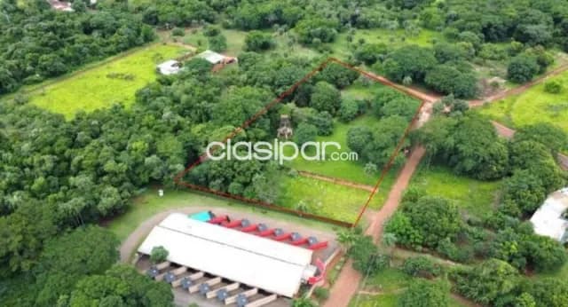 15 terrenos juntos en el circuito comercial - encarnacion — foto 2