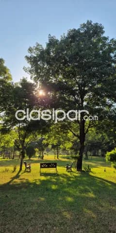 Parcela en cementerio privado en Luque, foto 2