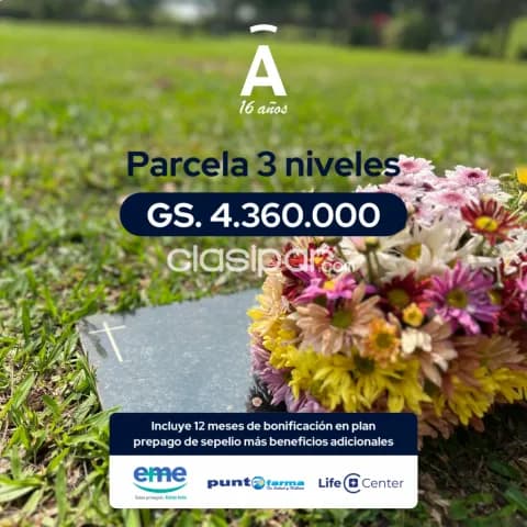 Parcela en cementerio privado en Luque, foto 4