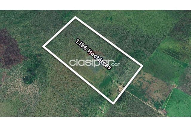 📈gran oportunidad de inversión: 1.189,8 has. En el departamento de presidente hayes