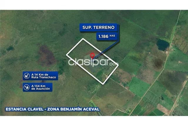 📈gran oportunidad de inversión: 1.189,8 has. En el departamento de presidente hayes — foto 4