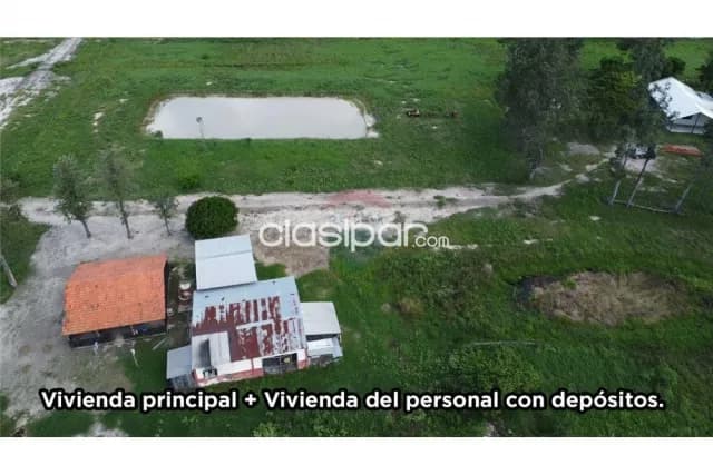 📈gran oportunidad de inversión: 1.189,8 has. En el departamento de presidente hayes — foto 5