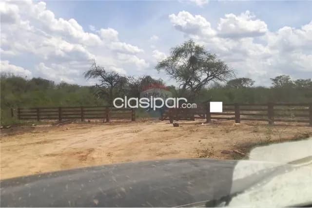 🌎🐄 importante campo ganadero y agrícola en boquerón – chaco paraguay 🐄🌎, foto 3