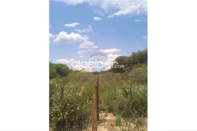 🌎🐄 importante campo ganadero y agrícola en boquerón – chaco paraguay 🐄🌎, foto 5