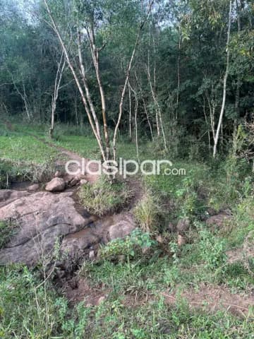 Propiedad rural / chacra en venta 🌿, foto 4