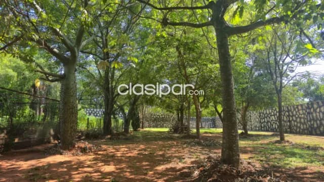 Casa Quinta 5000 m2 Villa Elisa, foto 5
