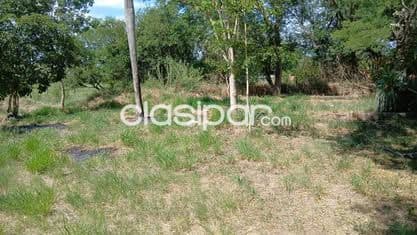 5 terrenos en limpio cod 6413, foto 1
