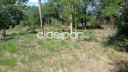 5 terrenos en limpio cod 6413, foto 2